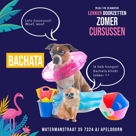 Di. Beginners Zomer Cursus | 5 Weken BACHATA Cursus